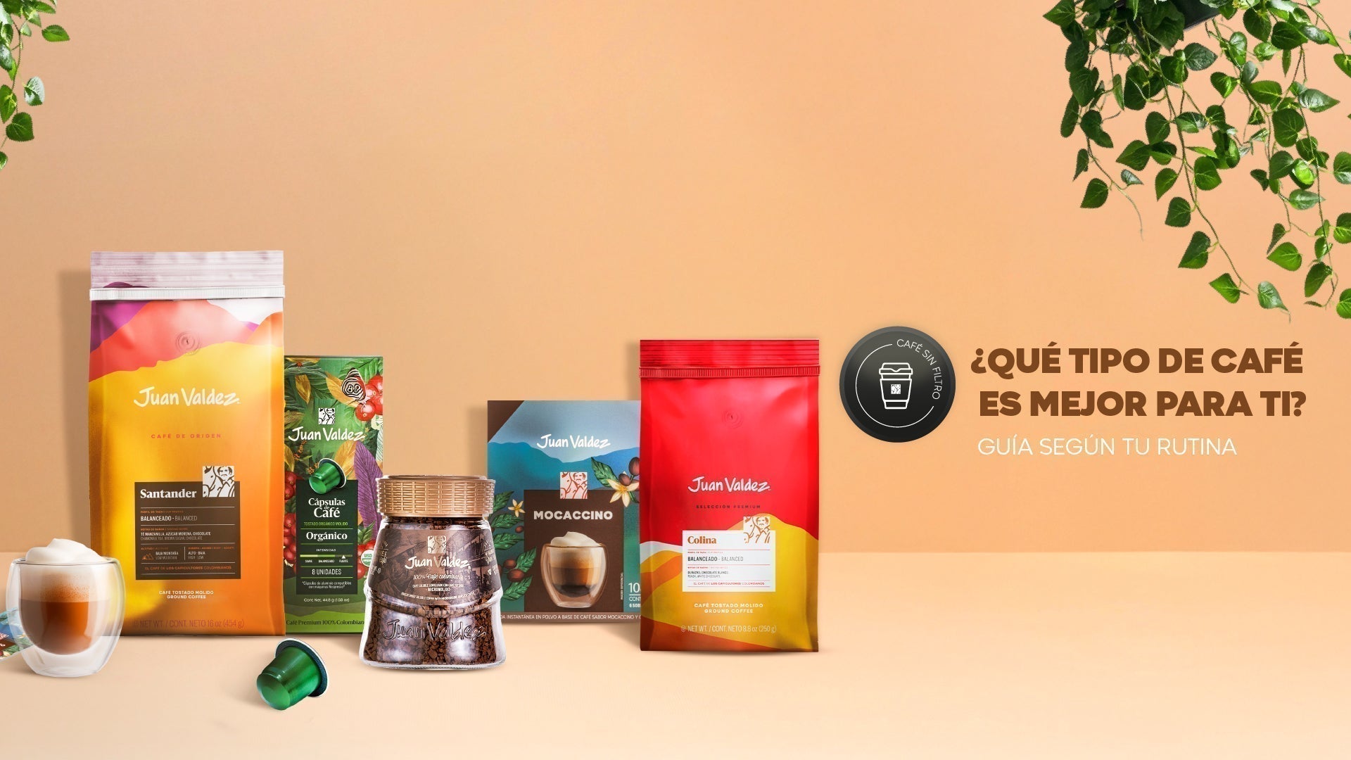 ¿Qué tipo de café es mejor para ti? Guía según tu rutina