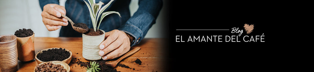 Cómo aprovechar la borra de café