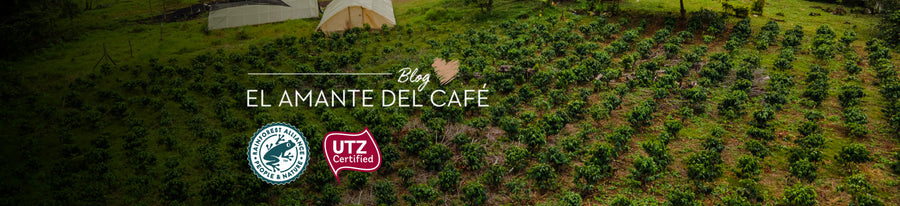 Todo sobre la certificación sustentable del café Juan Valdez