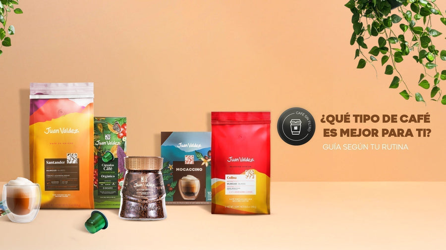 ¿Qué tipo de café es mejor para ti? Guía según tu rutina