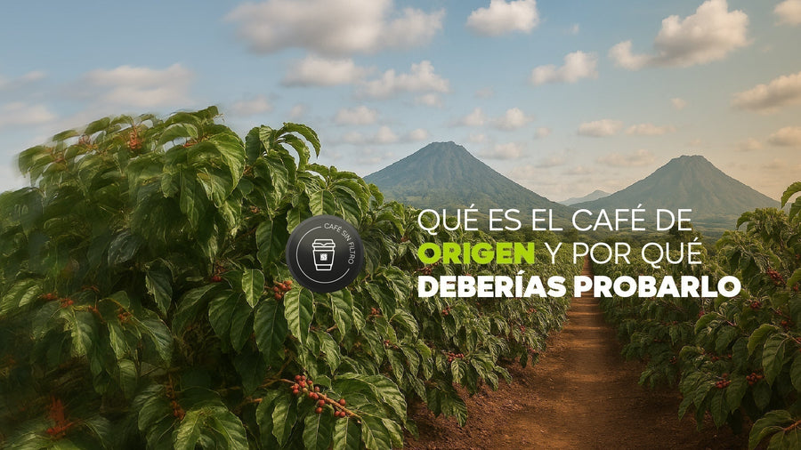 Qué es el café de origen y por qué deberías probarlo